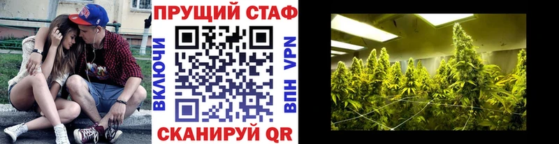 Сколько стоит Можга Галлюциногенные грибы блэк спрут рабочий сайт АМФЕТАМИН Cocaine