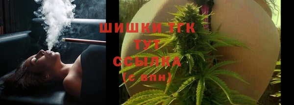 гидропоника Богородицк