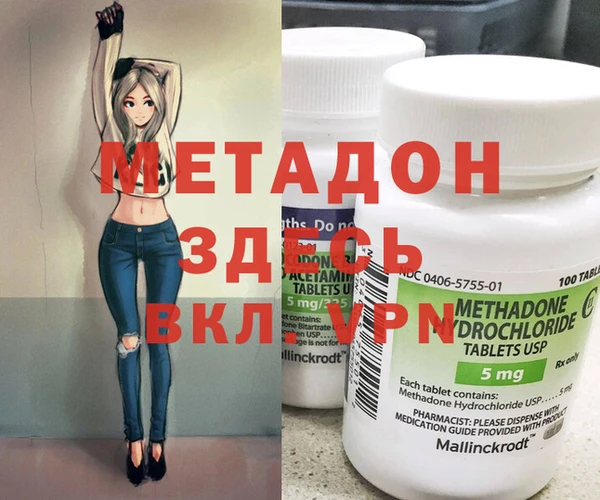 стаф Богданович