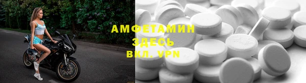 стаф Богданович