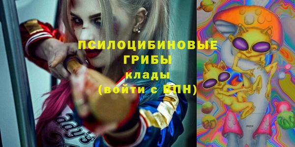 гидропоника Богородицк