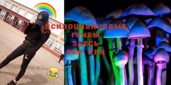 первитин Богородск