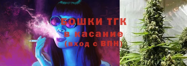 стаф Богданович