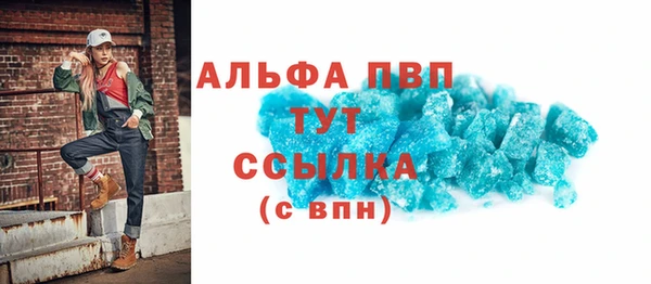 стаф Богданович